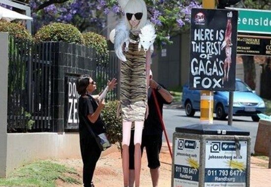 Anti-Gaga Protests Around the Country